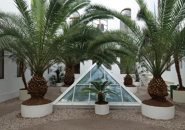 Palmengarten