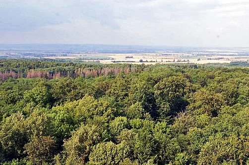 Blick vom Baumkronenpfad im Nationalpark Hainich Blick vom Baumkronenpfad im Nationalpark Hainich