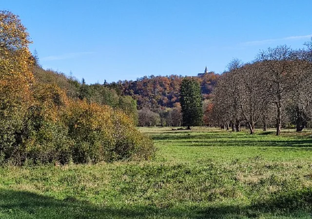 Selketal und Burg Falkenstein