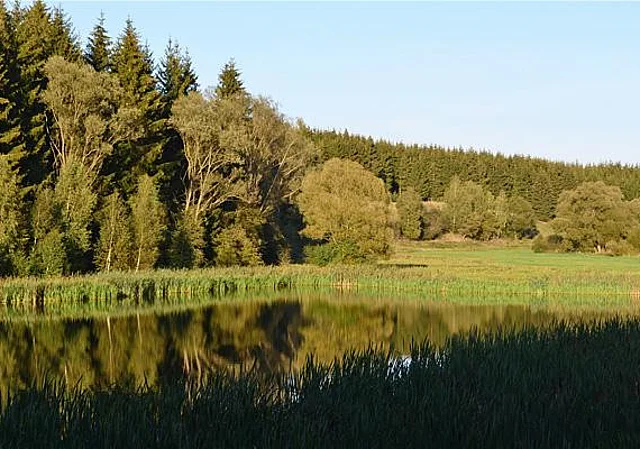 Vorsperre Hassel