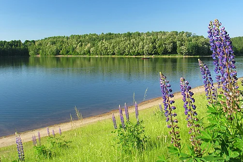 Pahnaer See Pahnaer See Altenburger Land