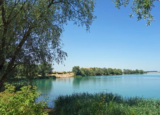 Alperstedter See Blick zum Weststrand 