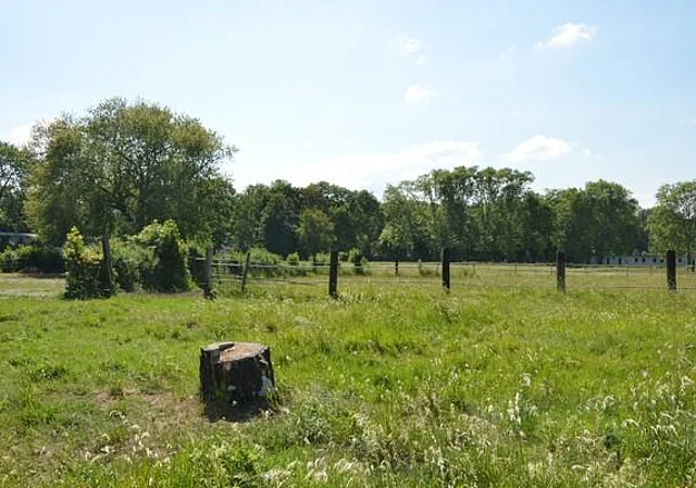 Koppel innerhalb der Rennbahn