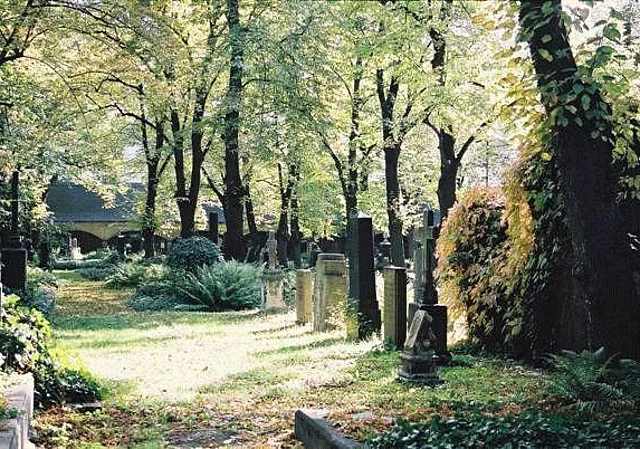 Blick von den nördlichen Gruftbögen nach Süden