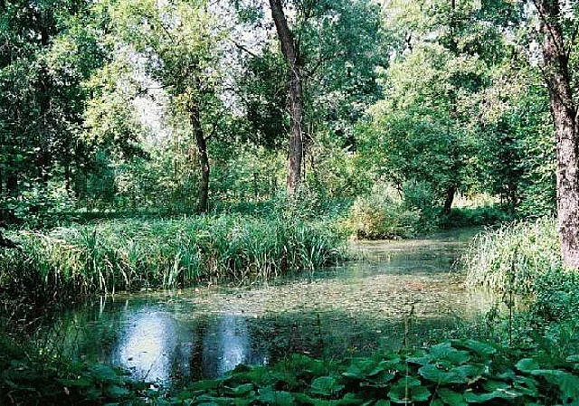 Teich Blick nach Südwesten