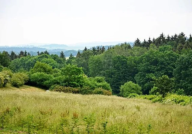 Blick vom Anfahrtweg ins Vogtland