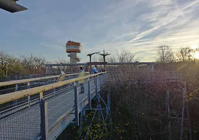 Baumkronenpfad mit Aussichtsturm