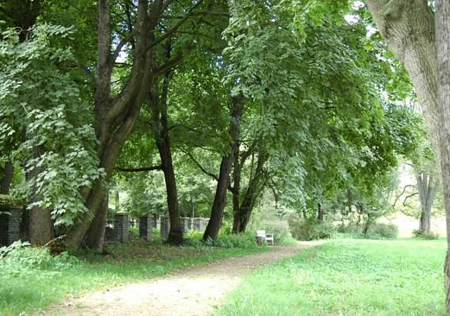 Weg im Schlosspark