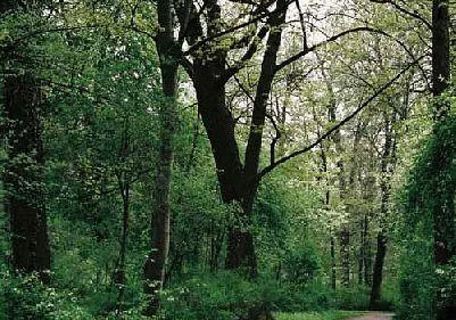 Blick nach Süden