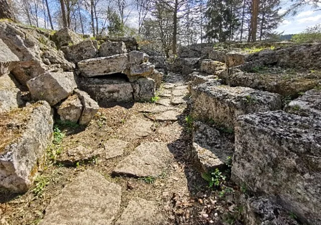 Weg durch das Alpinum