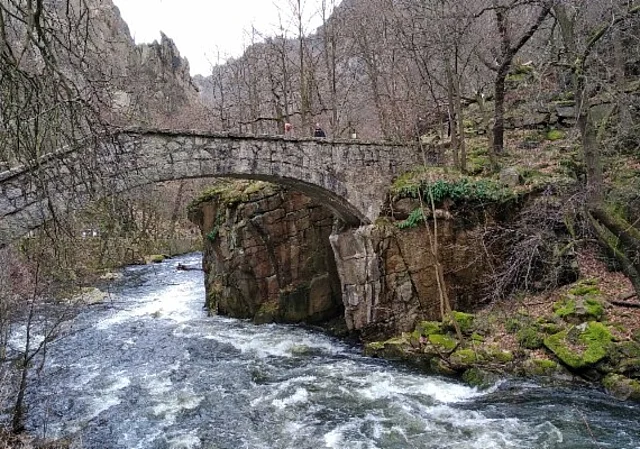 Bode an der Jungfernbrücke