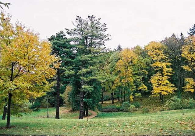 Schlosspark