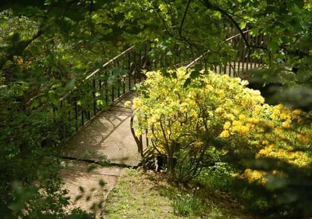 Brücke am Venustempel