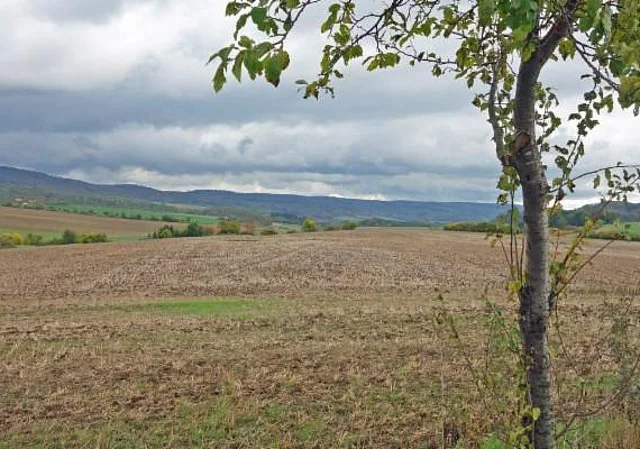 zwischen Steigerthal und Stempeda