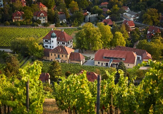 Weingut Hoflößnitz, Blick auf das Gebäudeensemble