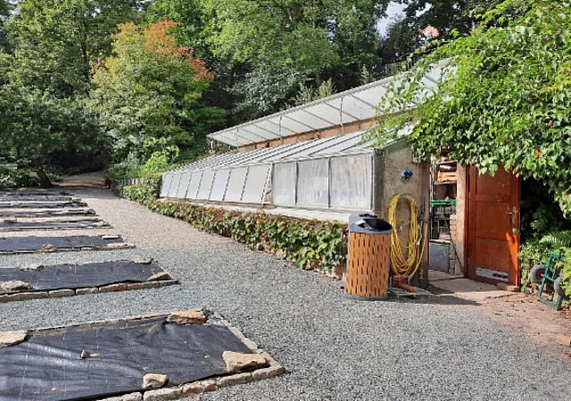 Heil-und Nutzpflanzen Schuppen