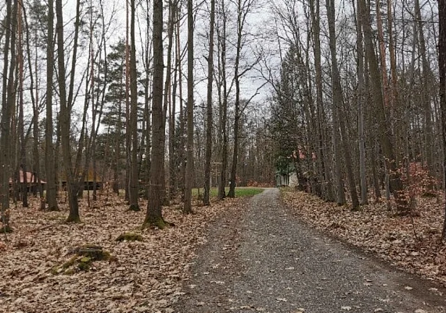 Wald Grünes Haus im Herbst