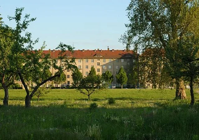 Elbwiesen Johannstadt, Bebauung Käthe-Kollwitz-Ufer