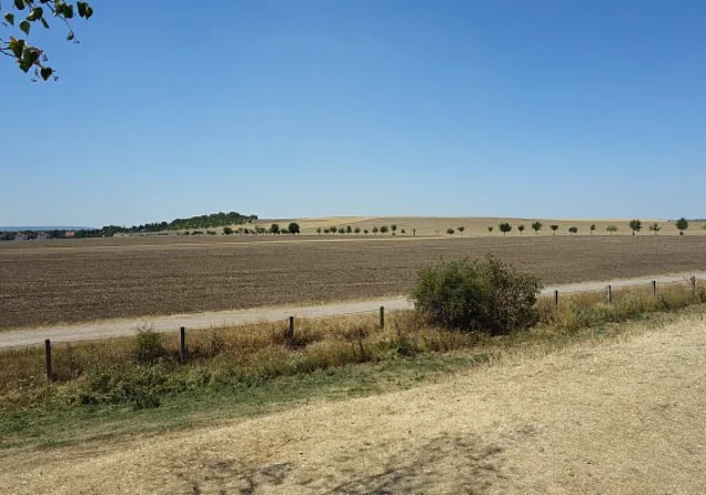 Blick Westen