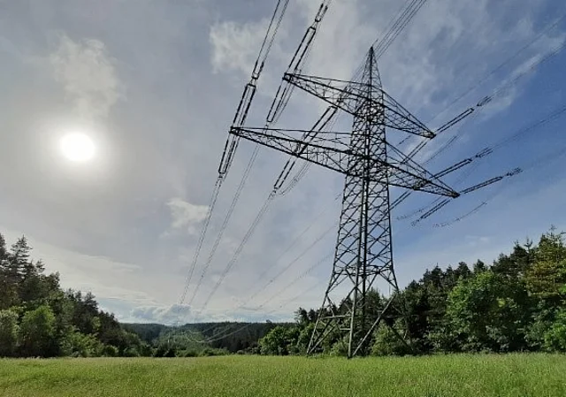 Lichtung mit Strommast