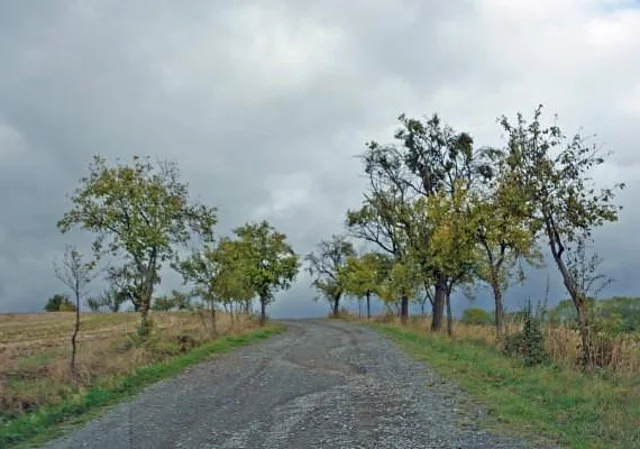 Weg zwischen Steigerthal und Stempeda