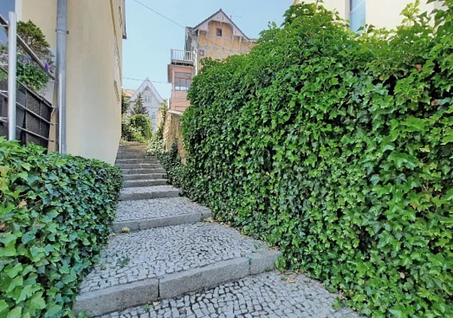 Altstadt Treppe