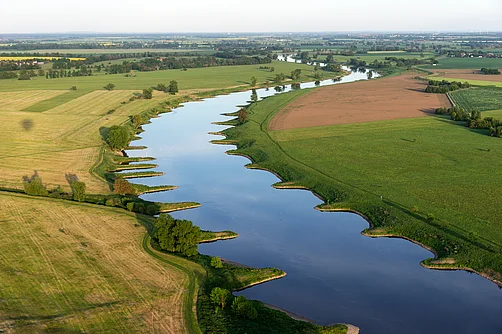 Elbe bei Torgau