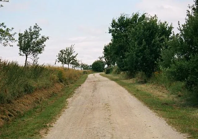 Sandstraße bei Burkersdorf