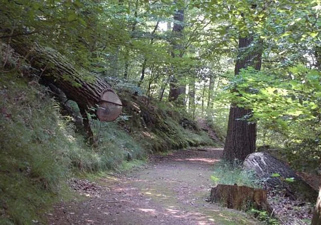 Weg Kartausgarten
