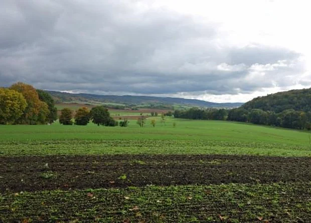 Blick über bei Stempeda 