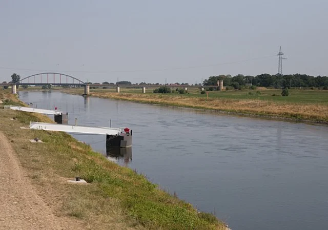 Elbufer mit Blick auf die Eisenbahnbrücke