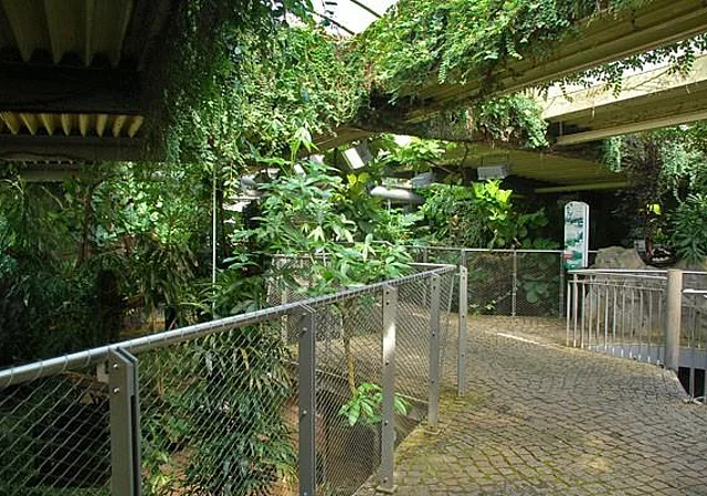 Krokodilhaus, innen