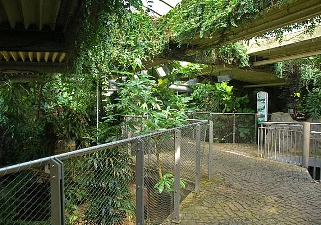 Krokodilhaus, innen