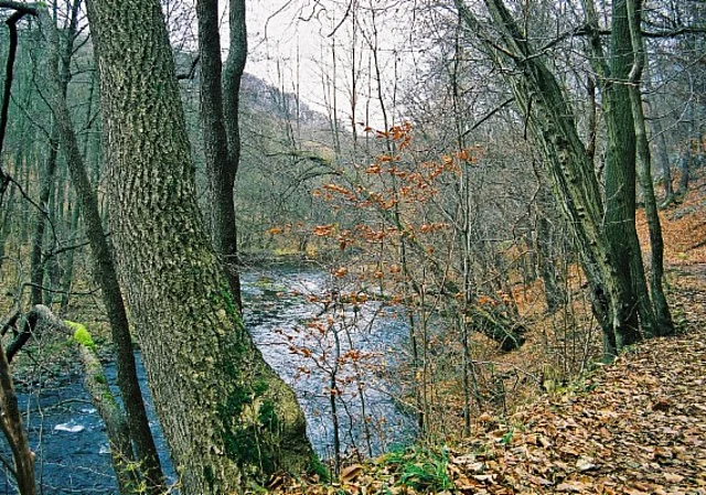 Bodetal