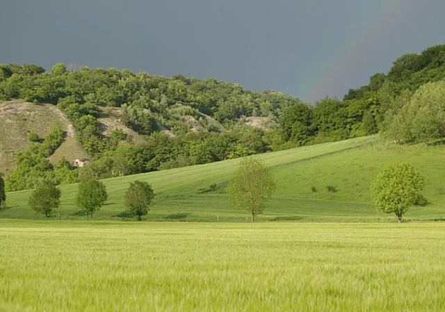 Blick auf die L2292