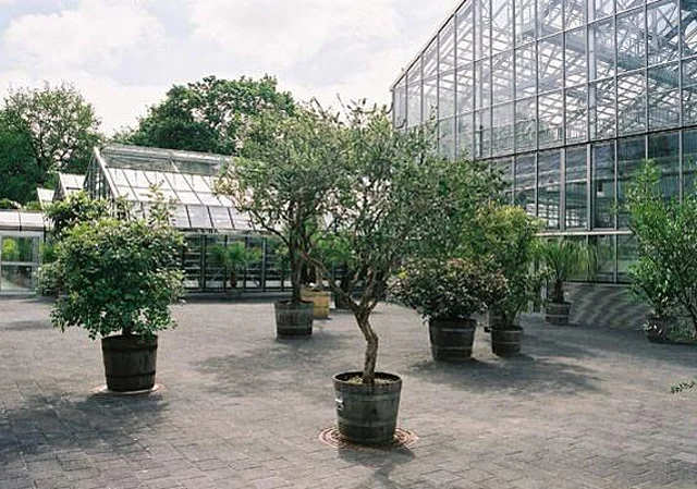 Gewächshäuser, Innenhof