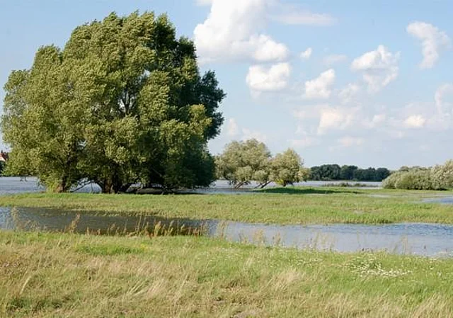 Elbe bei Schartau, nach Nordost