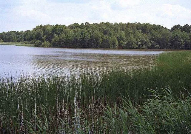 Bärnsdorfer Großteich