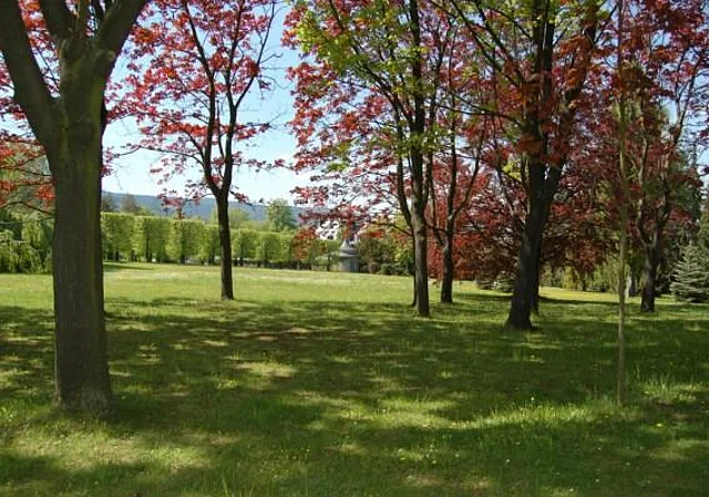 Blick zur Lindenallee und Villa Bergfried