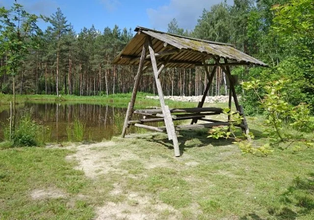Froschteich an der Blockhütte