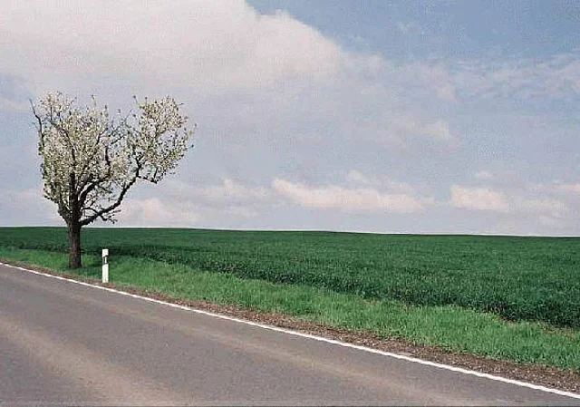 Straße Blick nach Westen