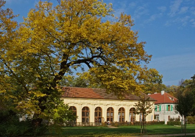 Schloss und Park Luisium, Orangerie