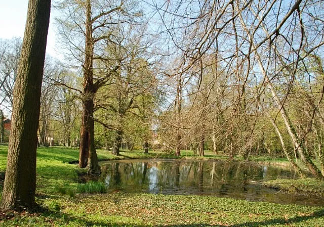 Schloss Ostrau, Schlosspark