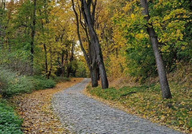 Harzclubweg