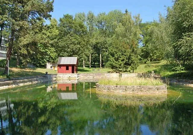 Teich