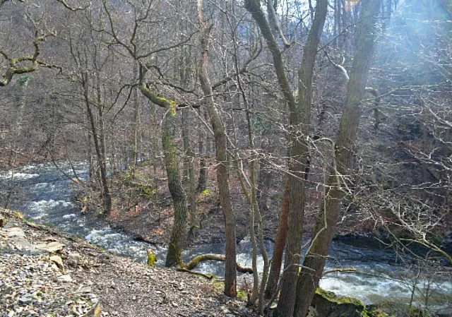 Bodetal