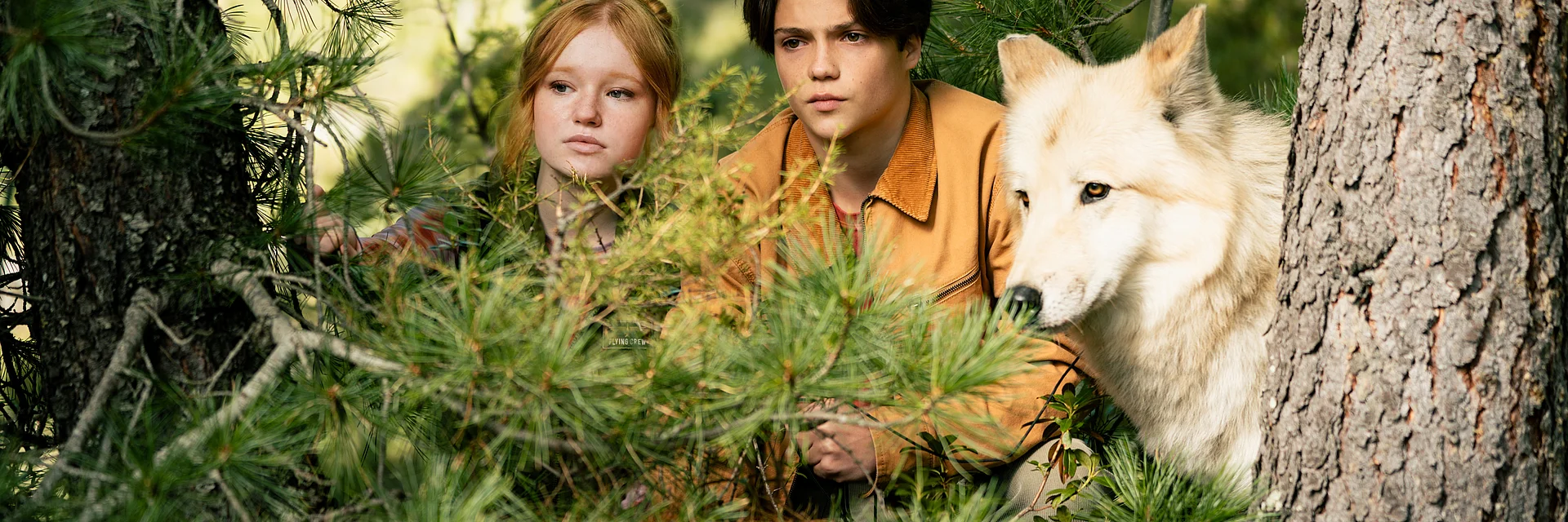 Woodwalkers 2 Zwei Jugendliche und ein weißer Wolf blicken aufmerksam aus dichtem Nadelwald zwischen Kiefernzweigen hervor. | Urheberrecht: Marc Reimann