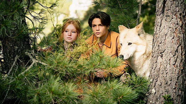 Woodwalkers 2 Zwei Jugendliche und ein weißer Wolf blicken aufmerksam aus dichtem Nadelwald zwischen Kiefernzweigen hervor.