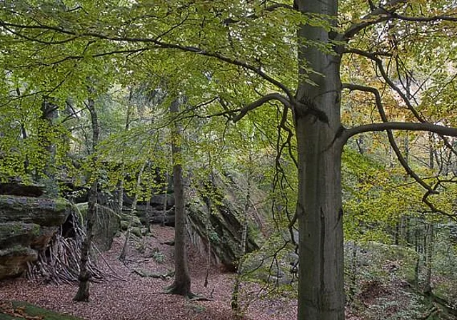 Felslabyrinth Langenhennersdorf, geschützter Platz