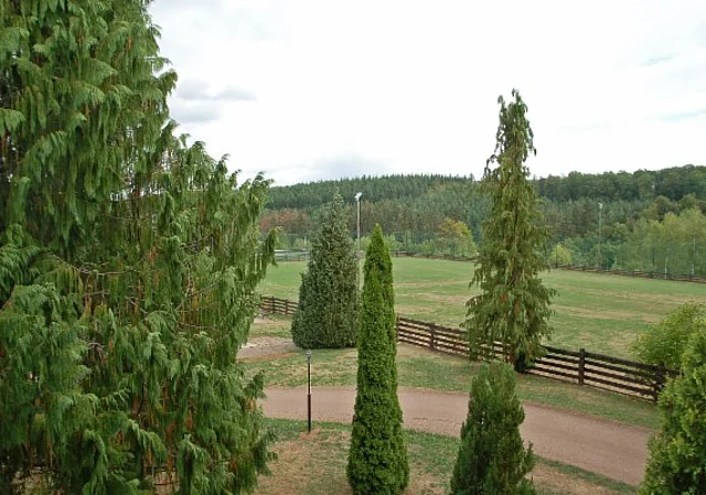 Jugendherberge Gorenzen, Fußballplatz